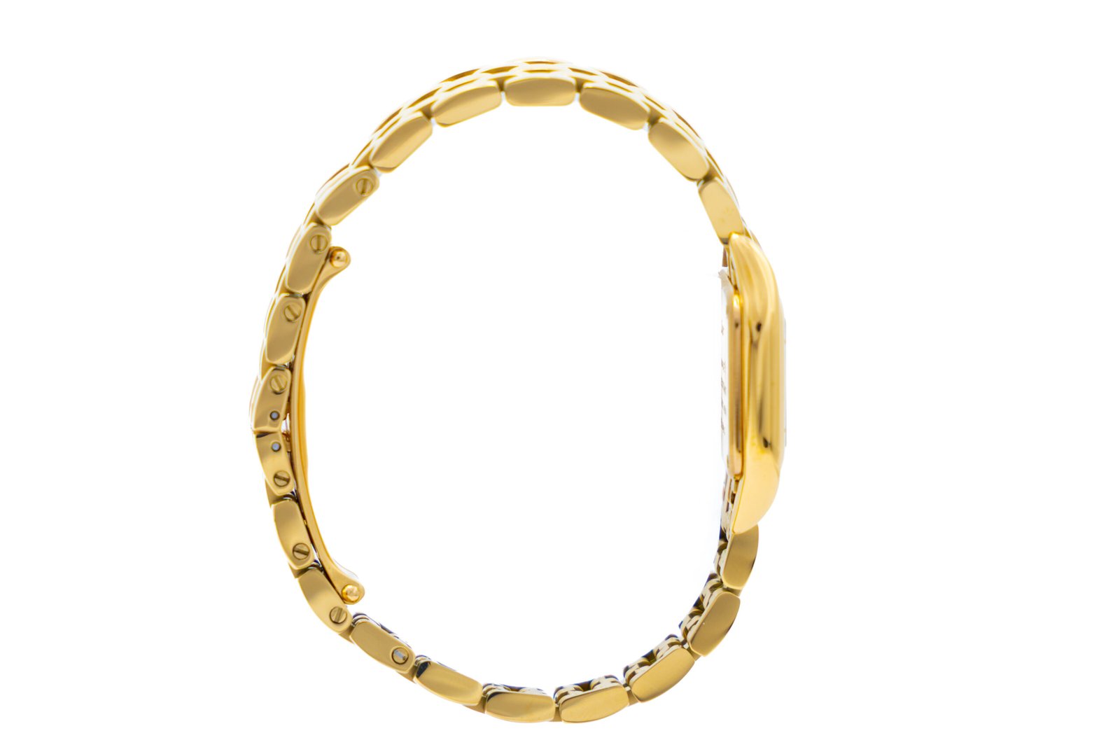 Cartier-Santos-Suizo-2859