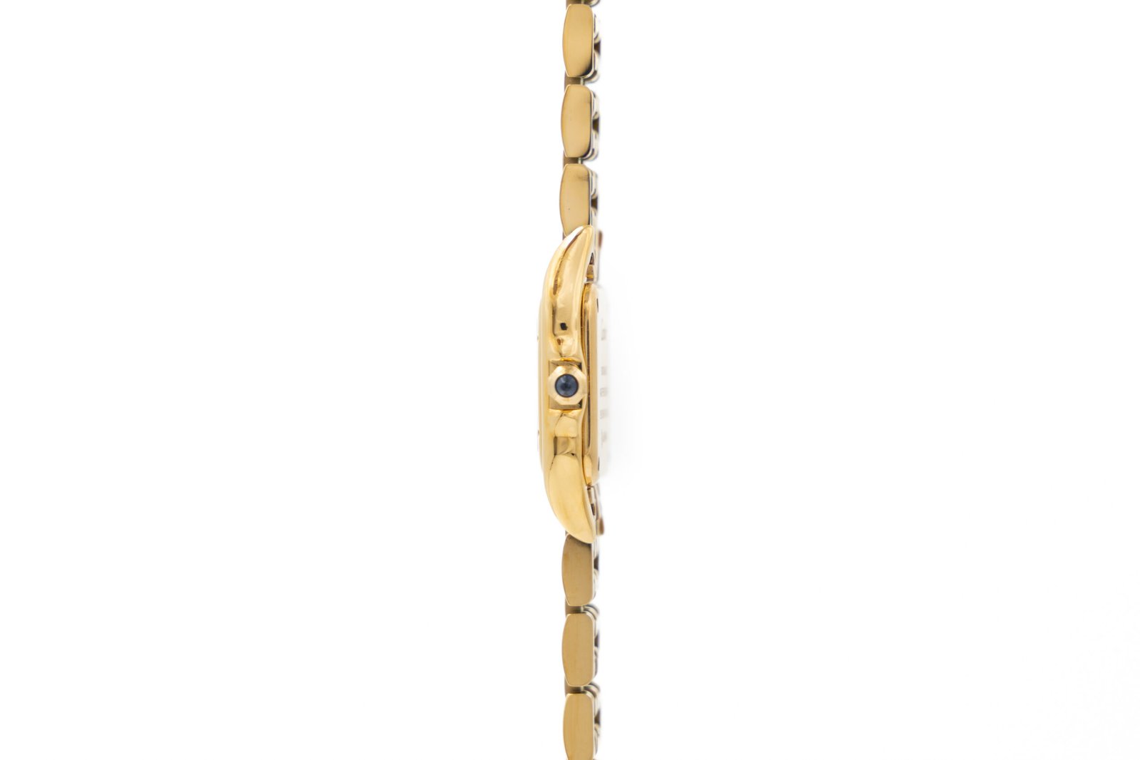 Cartier-Santos-Suizo-2867