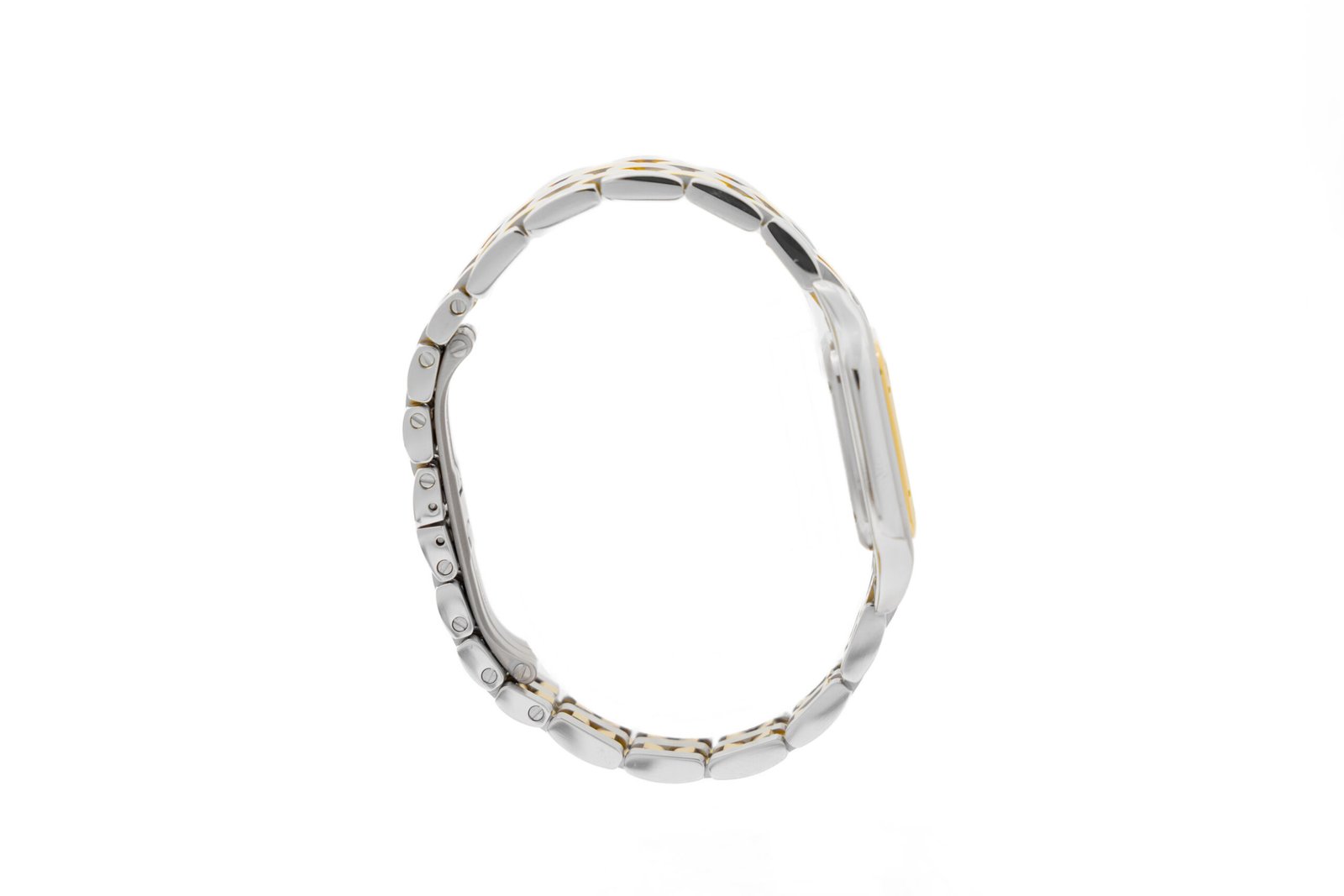 Cartier-Santos-Suizo-2893